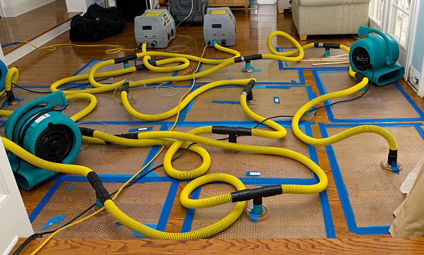 Professional Water Extraction technician working in Blissfield, MI