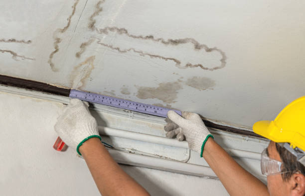 Affordable Water Damage Repair solutions in Blissfield, MI